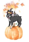 Mabel’s Pawfect Pet Services Logo