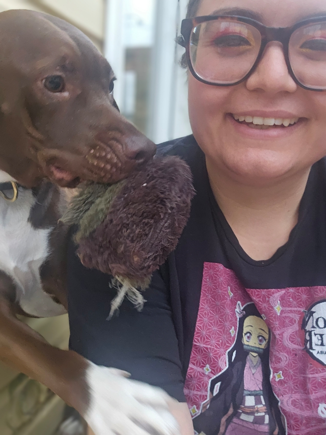 Owner with dog